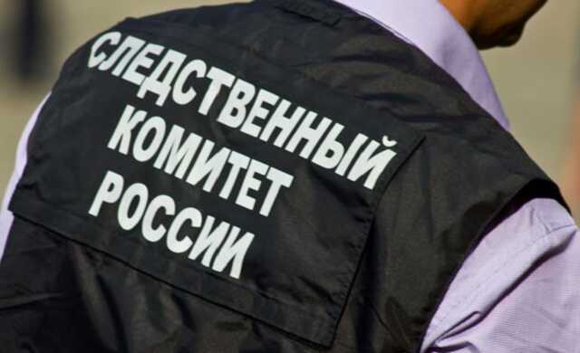 В Петербурге социальная няня оттаскала за волосы девочку-инвалида. СК проводит проверку