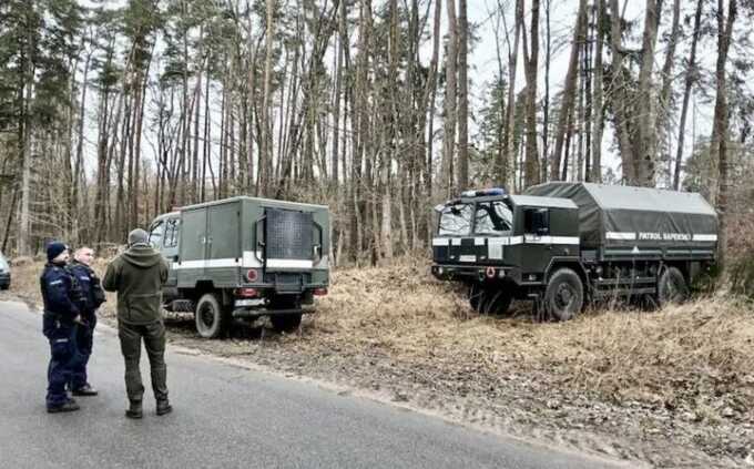 Дикие кабаны выкопали в польском лесу 21 минометный снаряд времен Второй мировой войны