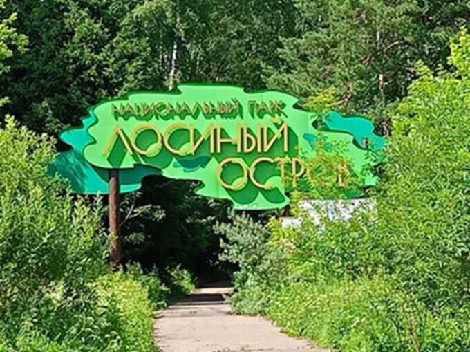 Обширная техника, маски и кровь: каким образом под видом стройки уничтожают Лосиный Остров