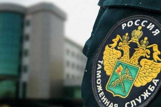 ФТС столкнулась с трудностями после распоряжения Козлова, который остановил процедуру декларирования