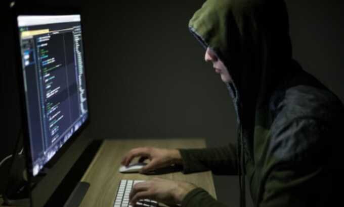 Within the Fraud: How Offenders Utilize Social Networks, Applications, and Shell Companies to Embezzle Millions